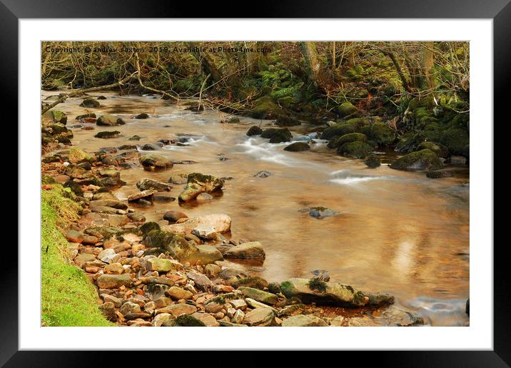 WATER NO LEAVES Framed Mounted Print by andrew saxton