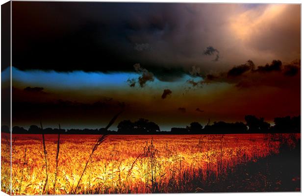 Fenland Storm Canvas Print by Terry Pearce