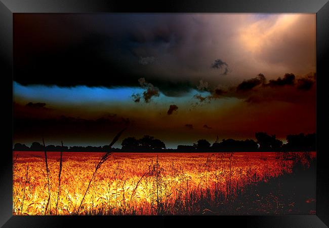 Fenland Storm Framed Print by Terry Pearce