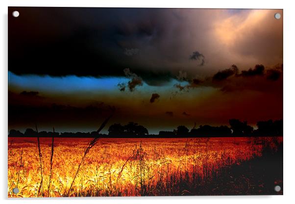 Fenland Storm Acrylic by Terry Pearce