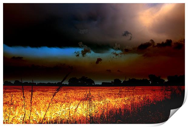 Fenland Storm Print by Terry Pearce