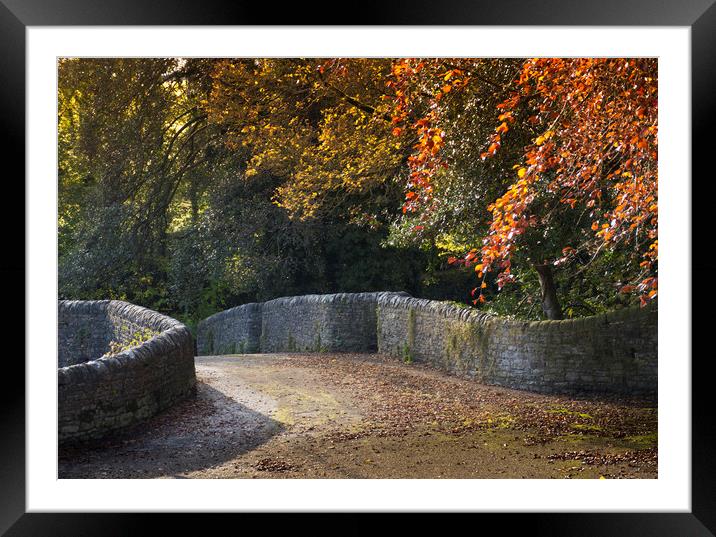 Bridge in Autumn Framed Mounted Print by Philip Enticknap