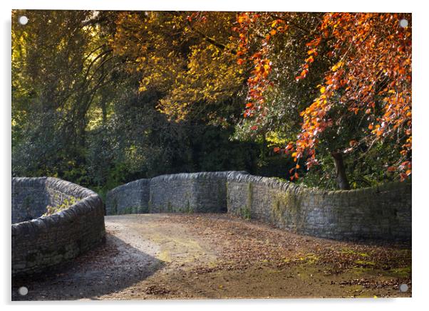 Bridge in Autumn Acrylic by Philip Enticknap