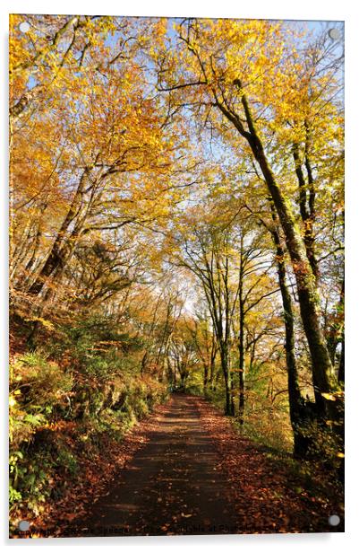 Kilminorth Woods in autumn at Looe in Cornwall Acrylic by Rosie Spooner