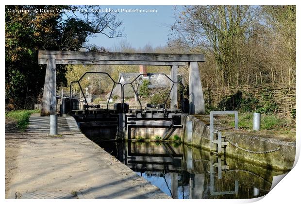 Flatford Lock  Print by Diana Mower