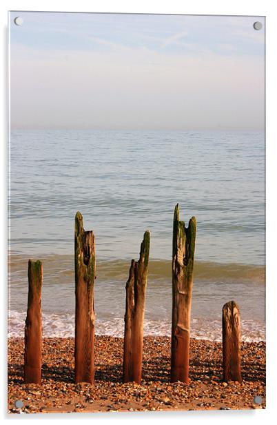 Winchelsea Beach, Sussex Acrylic by David Gardener