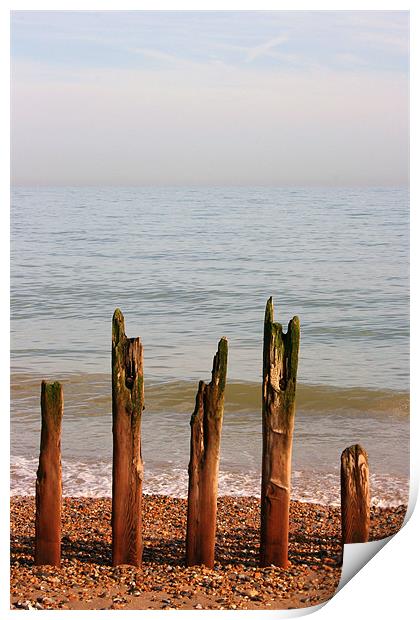 Winchelsea Beach, Sussex Print by David Gardener