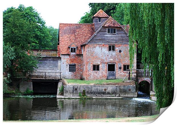 The Old Mill, Mapledurham Print by Ray Lewis