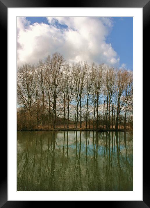 Thames at Laleham, Surrey Framed Mounted Print by David Gardener