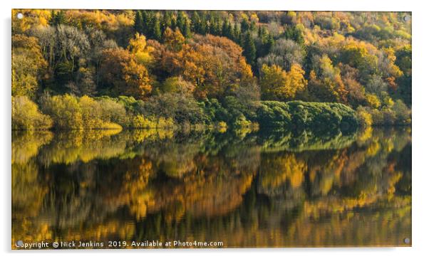 Trees reflected in Talybont Reservoir Brecon Beaco Acrylic by Nick Jenkins