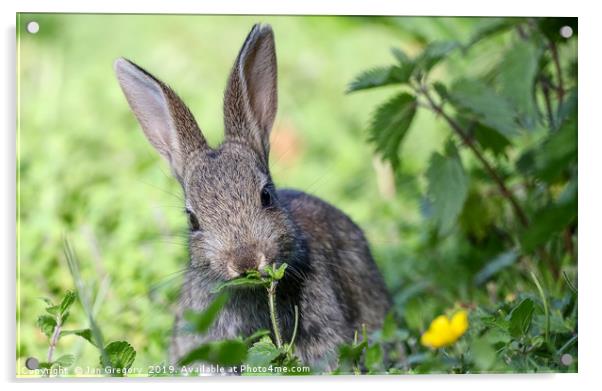 Sweet Rabbit Acrylic by Jan Gregory