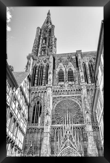 Strasbourg Cathedral Framed Print by DiFigiano Photography
