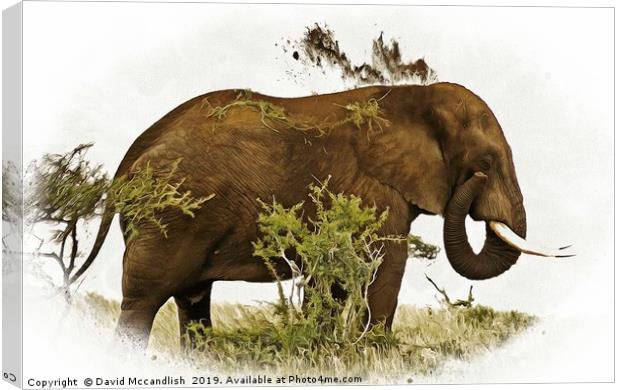 Elephant  Earth Dousing Canvas Print by David Mccandlish