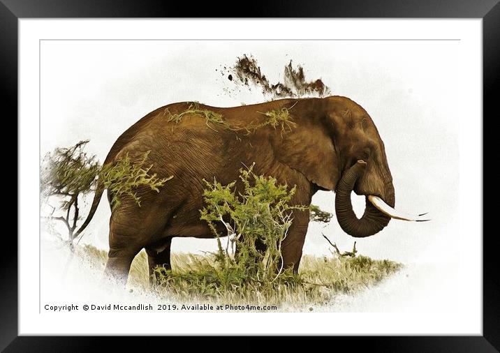 Elephant  Earth Dousing Framed Mounted Print by David Mccandlish