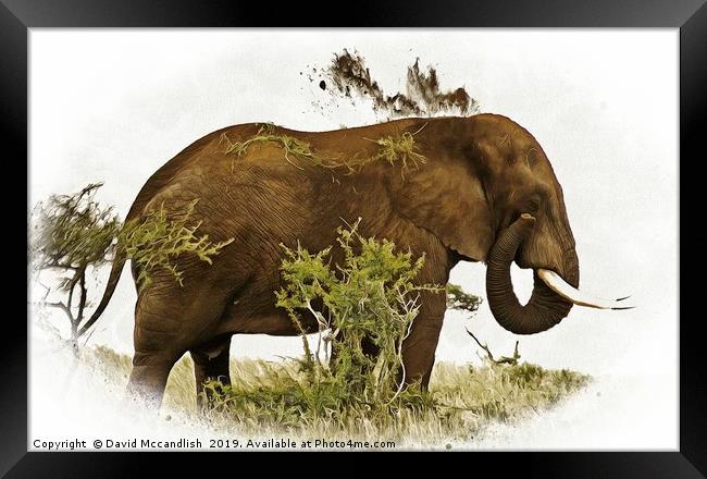 Elephant  Earth Dousing Framed Print by David Mccandlish