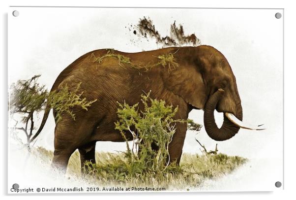 Elephant  Earth Dousing Acrylic by David Mccandlish