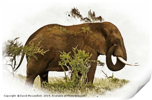 Elephant  Earth Dousing Print by David Mccandlish