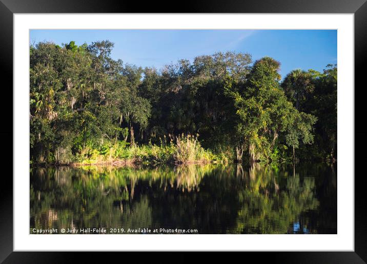 Reflections on the Caloosahatchee River Framed Mounted Print by Judy Hall-Folde