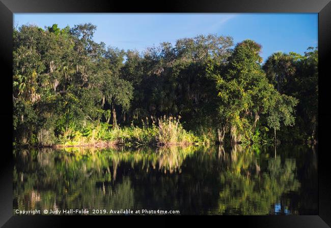 Reflections on the Caloosahatchee River Framed Print by Judy Hall-Folde