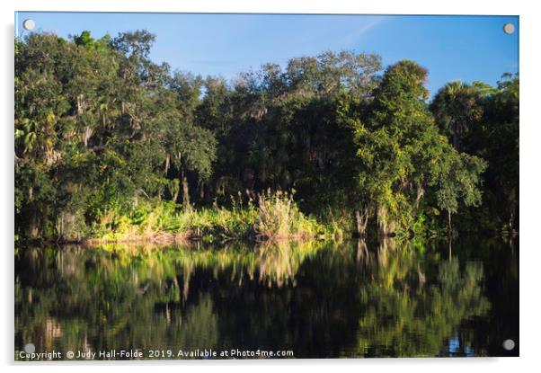 Reflections on the Caloosahatchee River Acrylic by Judy Hall-Folde
