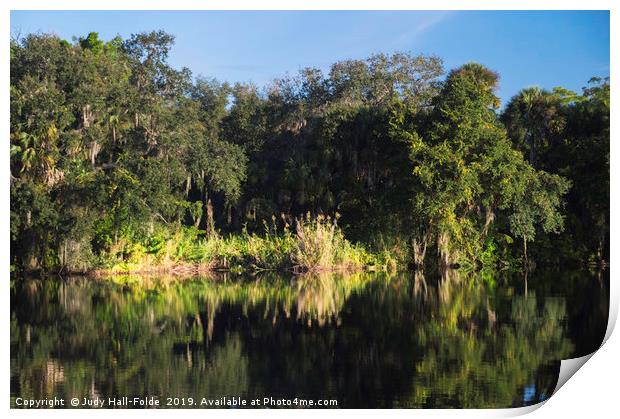 Reflections on the Caloosahatchee River Print by Judy Hall-Folde