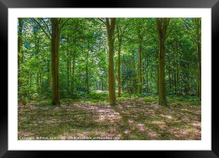 Fairytale woodland Framed Mounted Print by PAUL OLBISON