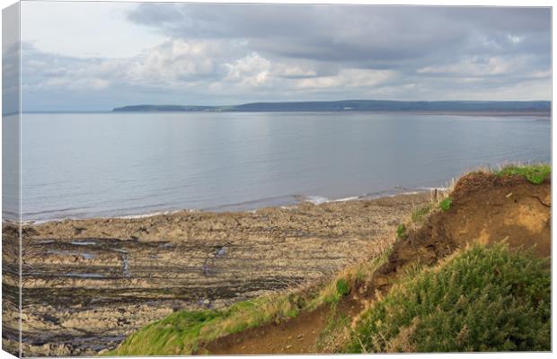 Views across Bideford Bay from the coast path Canvas Print by Tony Twyman