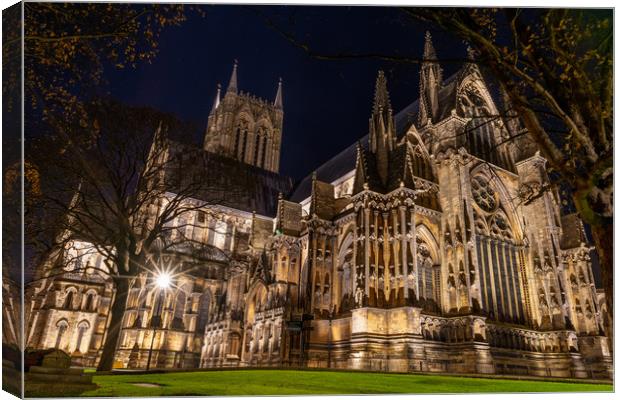 Lincoln Cathedral Canvas Print by Andrew Scott