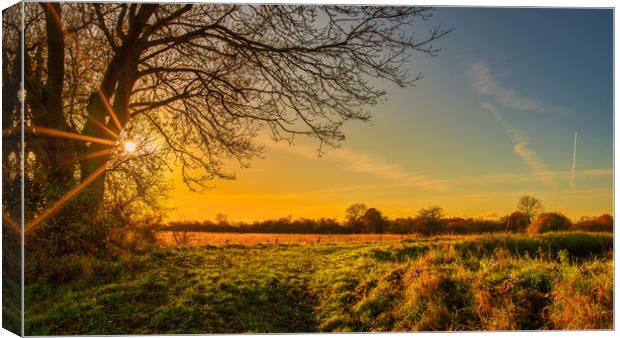 Sunset - North Hykeham, Lincoln  Canvas Print by Andrew Scott