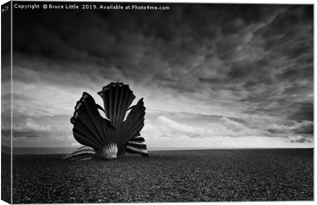 The Striking Scallop Shell Canvas Print by Bruce Little
