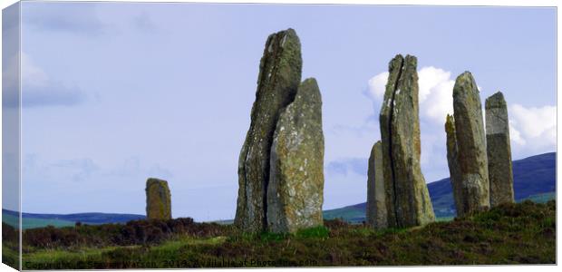 At the Ring of Brodgar Canvas Print by Steven Watson