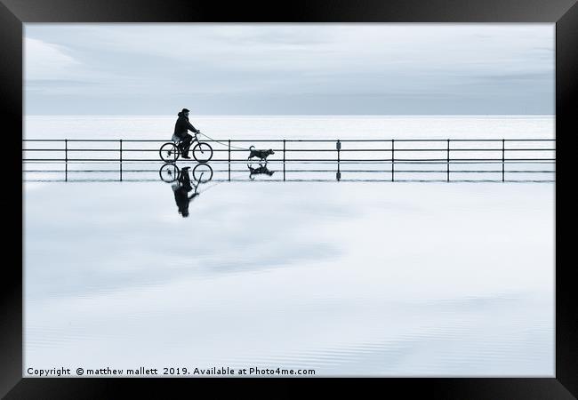 A Cycling Dog Walk On Water Framed Print by matthew  mallett