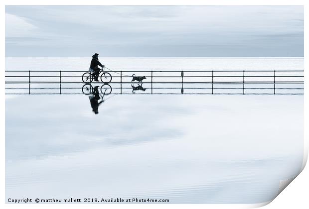 A Cycling Dog Walk On Water Print by matthew  mallett