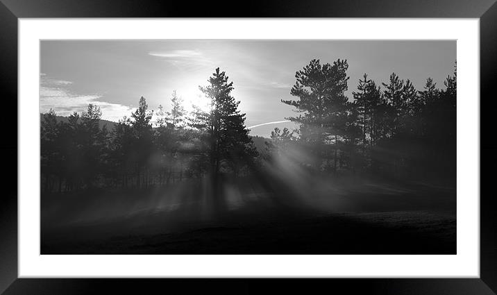 Sunrise bursting through trees and mist Framed Mounted Print by Ian Middleton