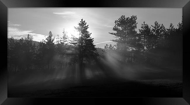 Sunrise bursting through trees and mist Framed Print by Ian Middleton