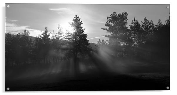 Sunrise bursting through trees and mist Acrylic by Ian Middleton