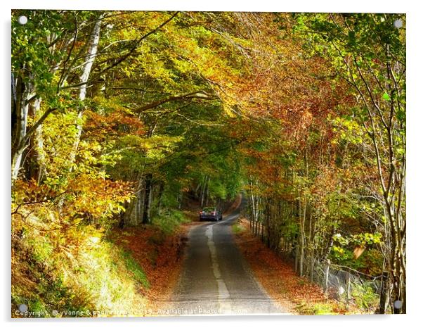 Driving through Glen Lyon, Perthshire, in Autumn Acrylic by yvonne & paul carroll