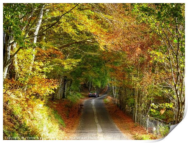 Driving through Glen Lyon, Perthshire, in Autumn Print by yvonne & paul carroll