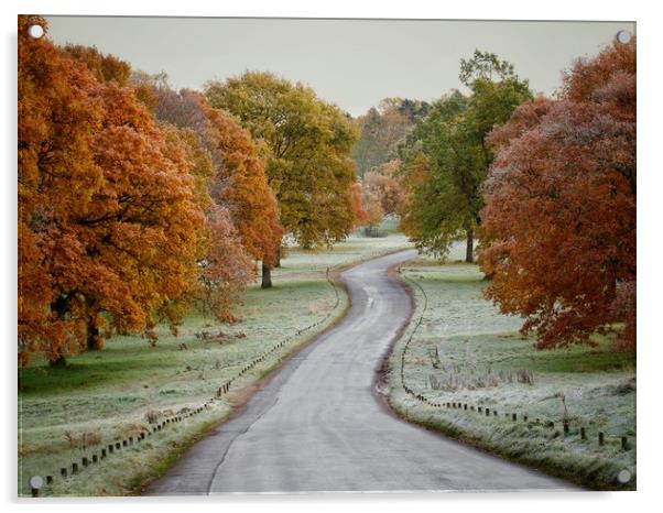 Frosty Road Acrylic by Victor Burnside