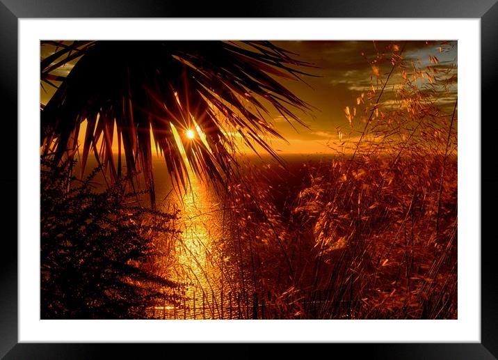 English Riviera Sunrise, Babbacombe, Torquay.  Framed Mounted Print by Jan Sutton