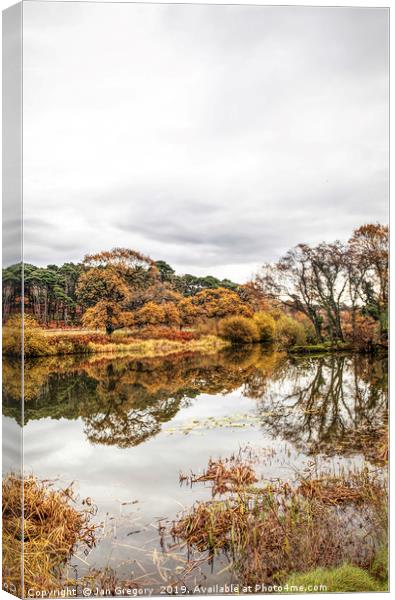 Autumnal Reflections Canvas Print by Jan Gregory