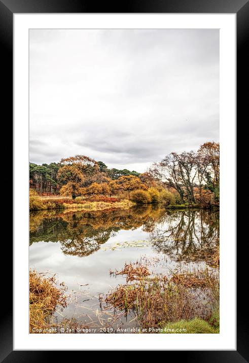 Autumnal Reflections Framed Mounted Print by Jan Gregory
