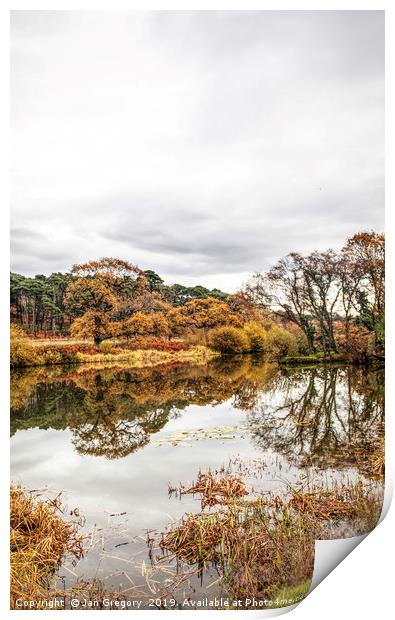 Autumnal Reflections Print by Jan Gregory