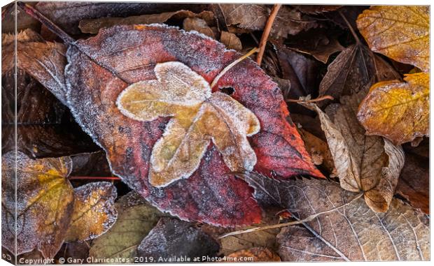 Frosty Autumn Leaves Canvas Print by Gary Clarricoates