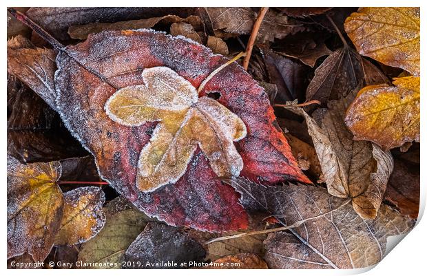 Frosty Autumn Leaves Print by Gary Clarricoates