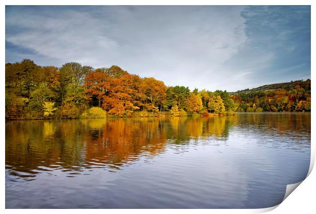 Damflask Reflections                               Print by Darren Galpin