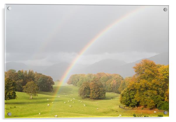 Double rainbow over the Lake District Acrylic by Jason Wells