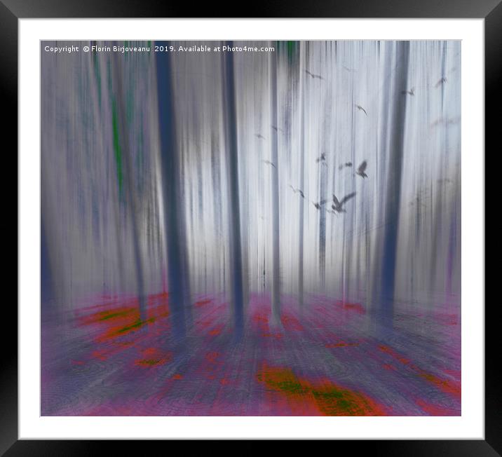 Forest Light Gray Framed Mounted Print by Florin Birjoveanu