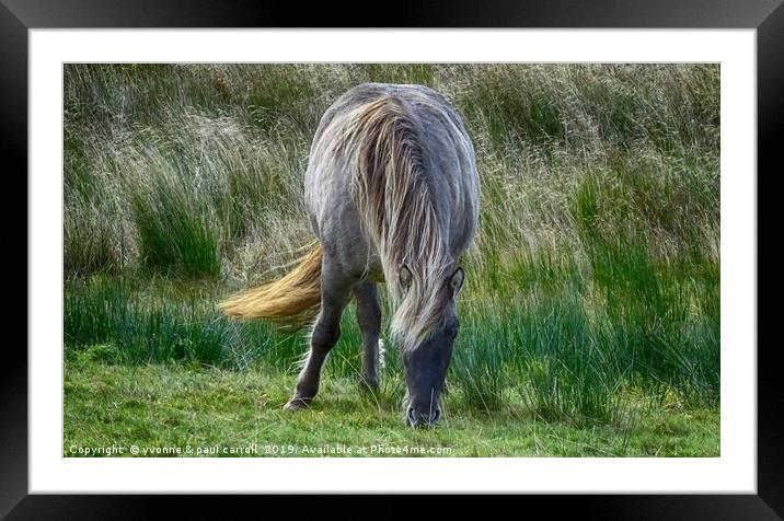 Horse grazing in a green field, Perthshire Framed Mounted Print by yvonne & paul carroll