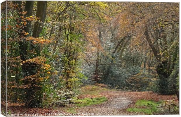                                Epping Forest 2 Canvas Print by paul petty